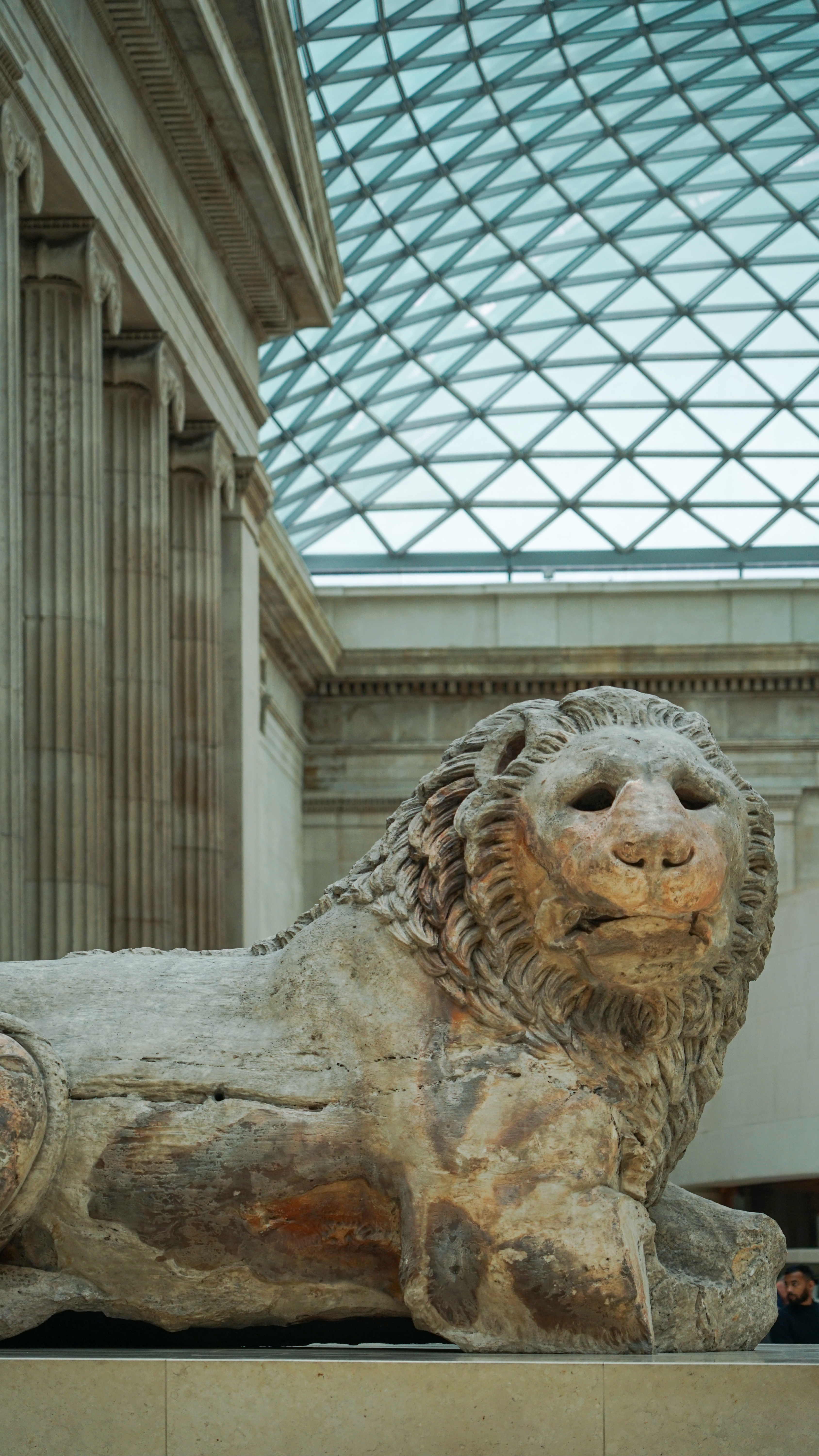 Lion inside the British Museum